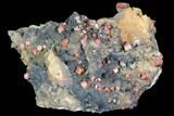 Red Vanadinite Crystals On Manganese Oxide - Morocco #103594-1